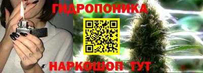 СК Будённовск