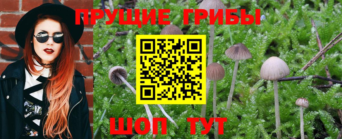 Галлюциногенные грибы мухоморы  Галлюциногенные грибы Magic Shrooms  Вход с VPN  Нягань 