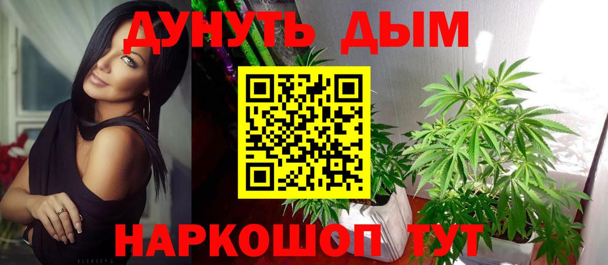 Каннабис планчик  Конопля гибрид  Нягань  Вход с VPN  Бошки марихуана конопля  Каннабис план 